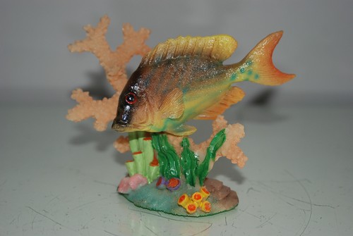 Aquarium detaillierte fische - aquarium, &
