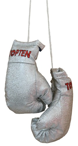 Top ten mini boxing gloves - ten,