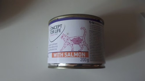Concept for life - life, lachs