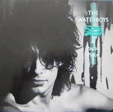 The Waterboys A Pagan Place