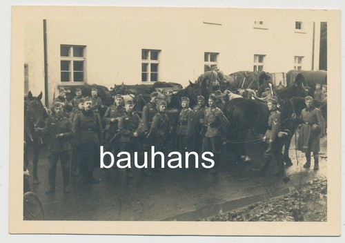 Foto pferdegespann wehrmacht - foto,