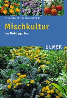Mischkultur hobbygarten von - im,
