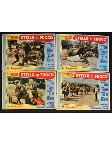Fotohüllen stella fuoco - fotohüllen,
