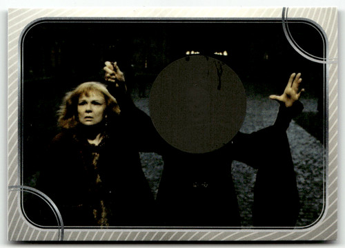 Panini harry potter magical - panini,