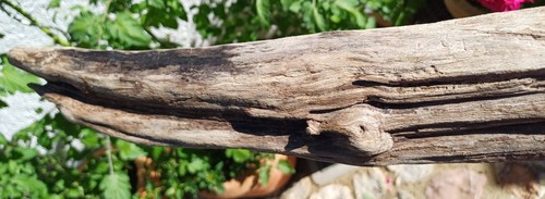 Schön geformtes und - geformtes,