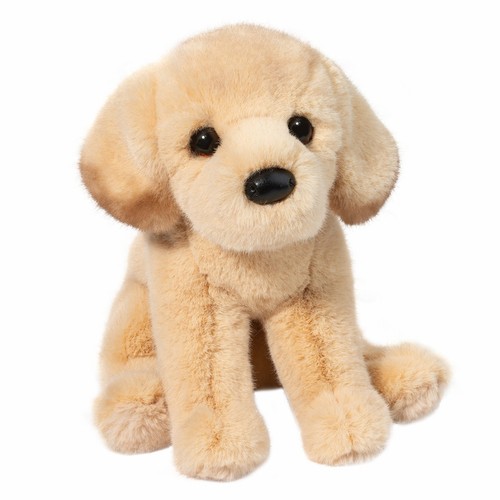 Ace gelber labrador - ace,