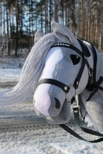 Hobby horse SNOW stickhorse