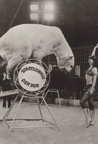 Ddr fotopostkarte staatszirkus - fotopostkarte,