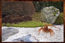 Stahlskulptur Gartendeko