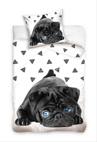 Kleiner mops hunde welpe hund - mops,