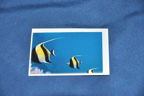 Rewe abenteuer tierwelt - rewe,