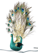 Zauberhafter Pfau mit