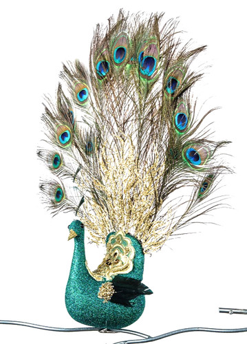 Zauberhafter pfau mit - pfau,