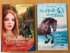 Pferdeflüsterer Academie