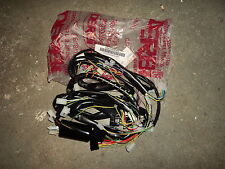 Derbi Atlantis 50 ccm Kabelbaum Original 00G01019301