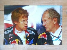 original Dr.Helmut Marko XXL-