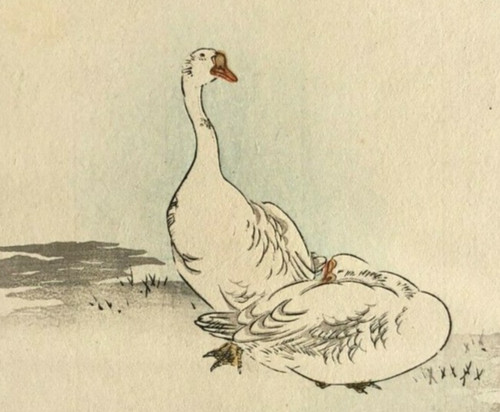 1830 gans tier - 1830,