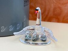 Swarovski Figur 243373 Schwan Familie. ca. 7,5 cm. Ovp & Zertifikat Top Zustand 