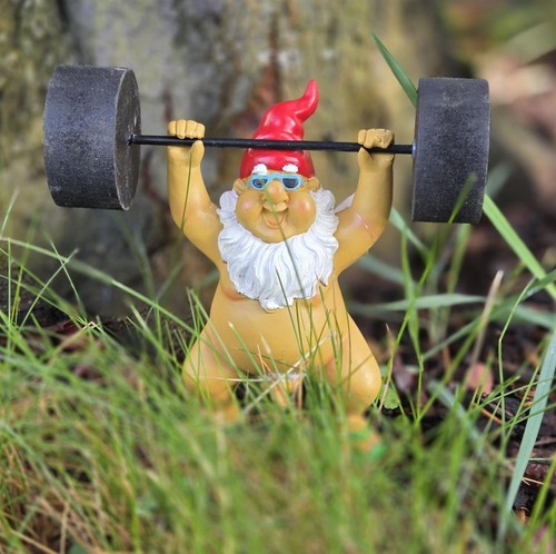 Zwerg nackt gewichtheber - zwerg, 16cm