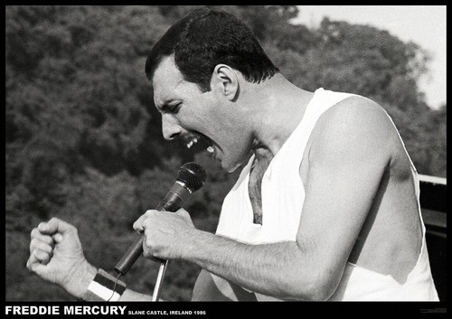 Queen poster slane castle - queen,