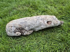 45 cm XL Treibholz Schwemmholz