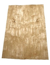 Birke Maser Holzfurnier