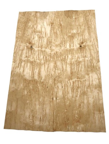 Birke maser holzfurnier - birke,