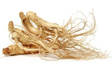 Ginseng Kapseln ( Roter Panax