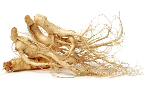 Ginseng kapseln roter - ginseng,