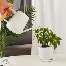 Gießkanne Edelstahl