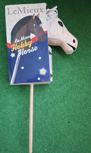 Lemieux hobby horse flash - horse,