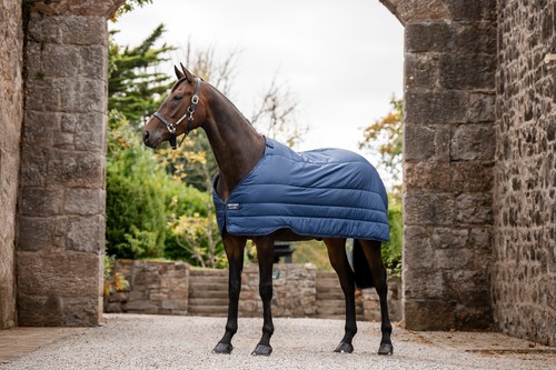 Horseware liner 50g - ,