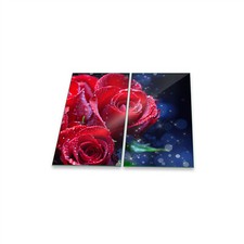 Herdabdeckplatte ceran - herdabdeckplatte,