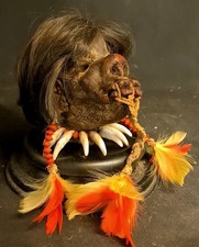 Shrunken head schrumpfkopf - shrunken,