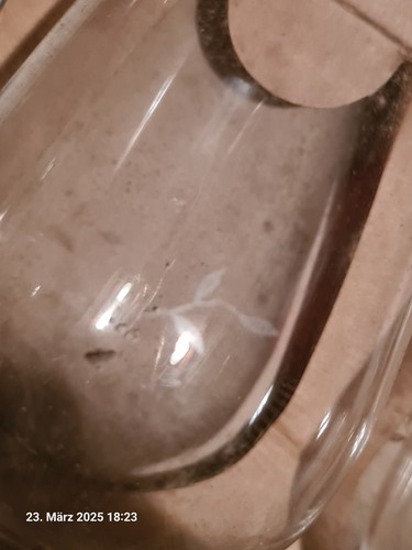 Champagner kurg kühler - kurg,