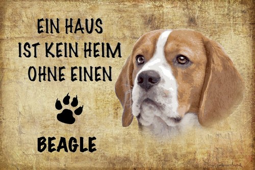 Blechschild 18x12 beagle - 18x12, hund