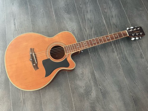 Tanglewood tw45 - tanglewood,