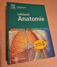 Lehrbuch  Anatomie Lippert Neuwertig