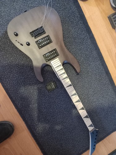Jackson diy gitarre bastler - jackson,