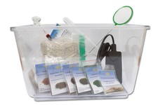 Triops Longicaudatus Komplett