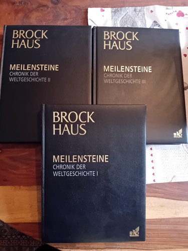 Brockhaus meilensteine 6 - -,