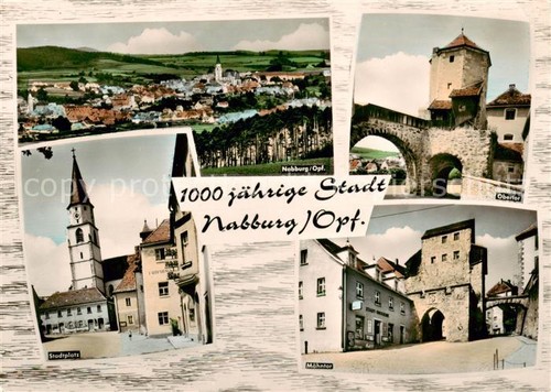Nabburg panorama 1000jaehrige - panorama,