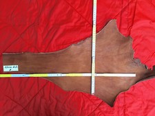 Rindsleder Lederhaut