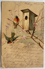 AK Motiv Tier um 1904 Vogelkasten Vögel Nest Brutkasten