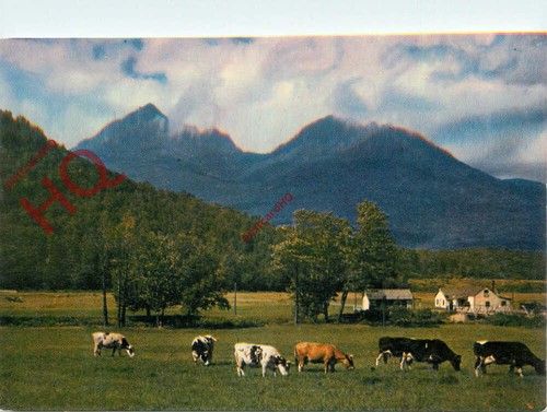 Ansichtskarte new hampshire - ansichtskarte,