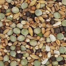 Gladen - Rassetaubenfutter