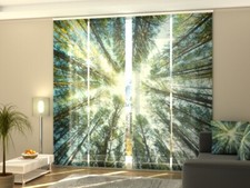 Foto-Schiebegardine Im Wald