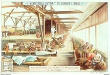 Chrom Liebig Blut 715