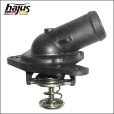Original Hajus Thermostat mit