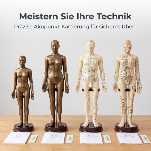 Akupunktur trainingsmodell - akupunktur,